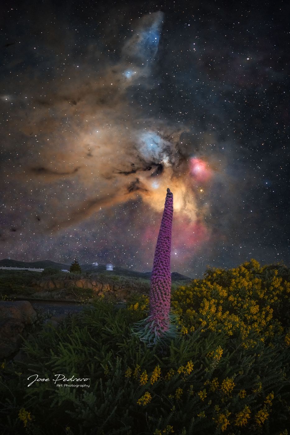 Tajinaste con Rho Ophiuchi y Antares